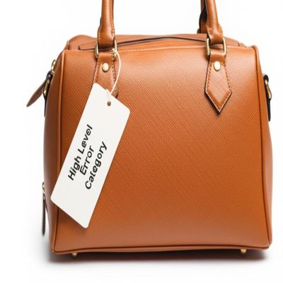 Web Server Security Preloved Branded Bag with High Level Error Category