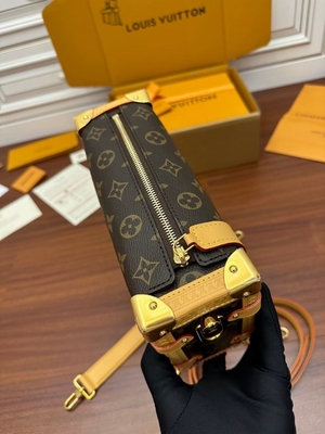 Brown Presbyopic Canvas Louis Vuitton LV Side Trunk Monogram PM Bag Vali